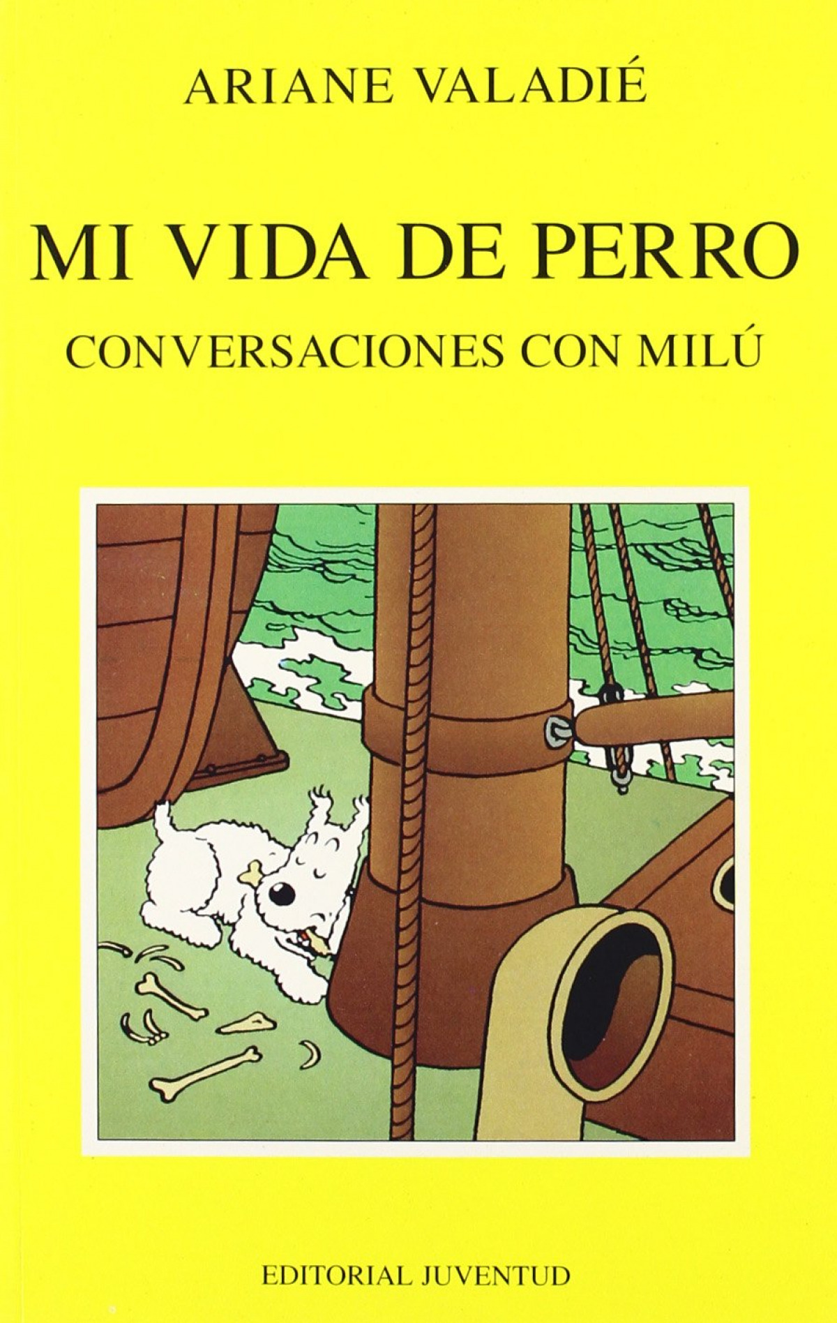 Portada