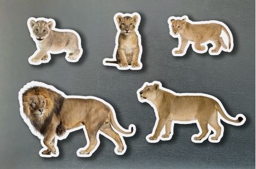 Magneticos familias leones