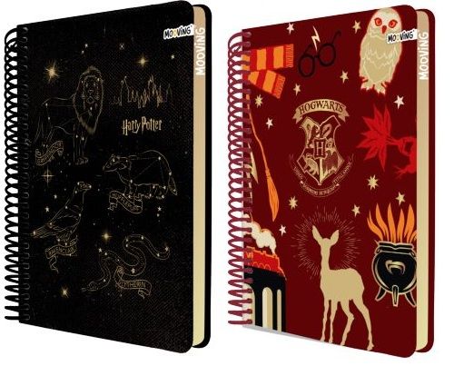  CUADERNO PREMIUM HARRY POTTER 20.5X28CM MODELOS SURTIDOS 