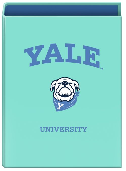  CARPETA Fº 4 ANILLAS 40MM YALE DOG 