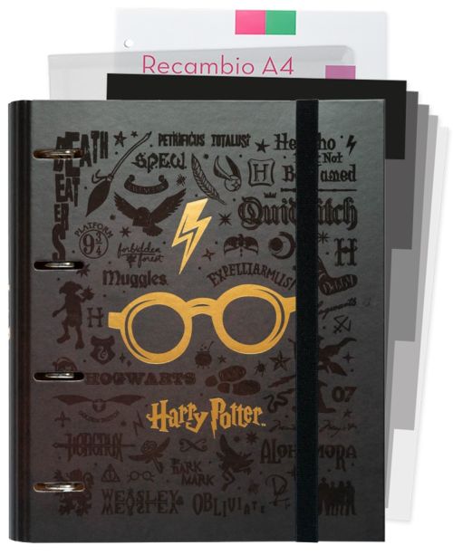 CARPEBLOCK A4 4 ANILLAS PREMIUM HARRY POTTER