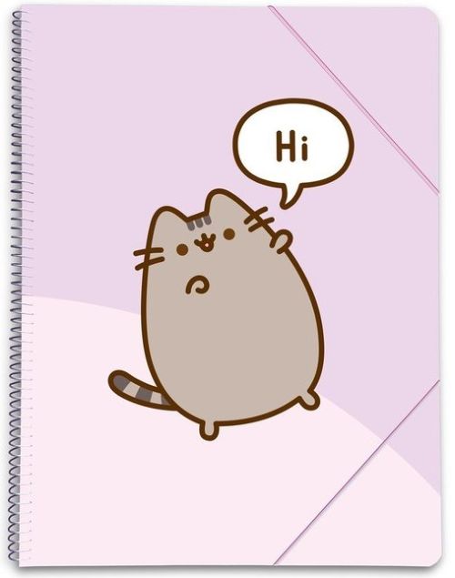 CARPETA DE FUNDAS A4 PUSHEEN MOMENTS