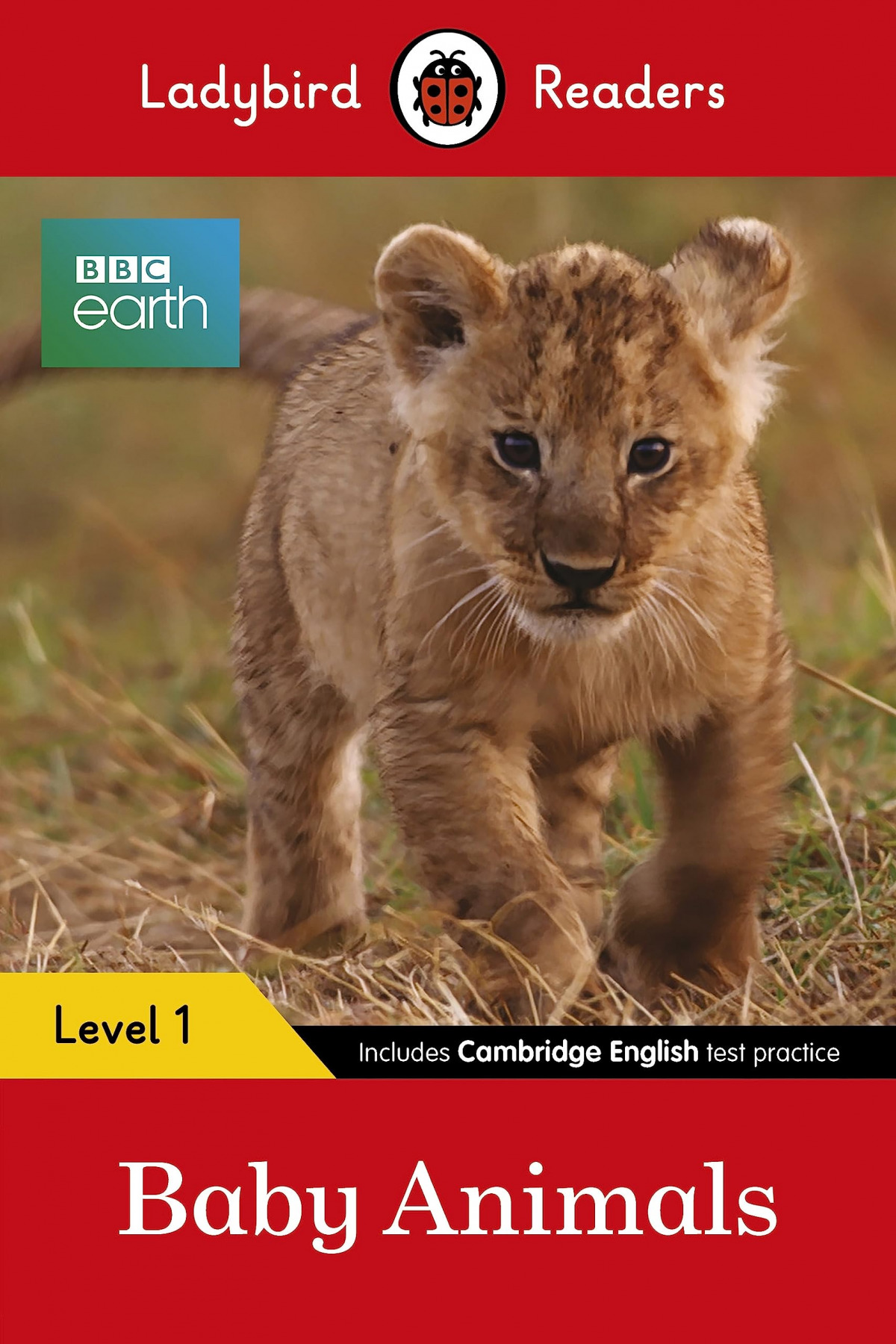 BABY ANIMALS. BBC EARTH