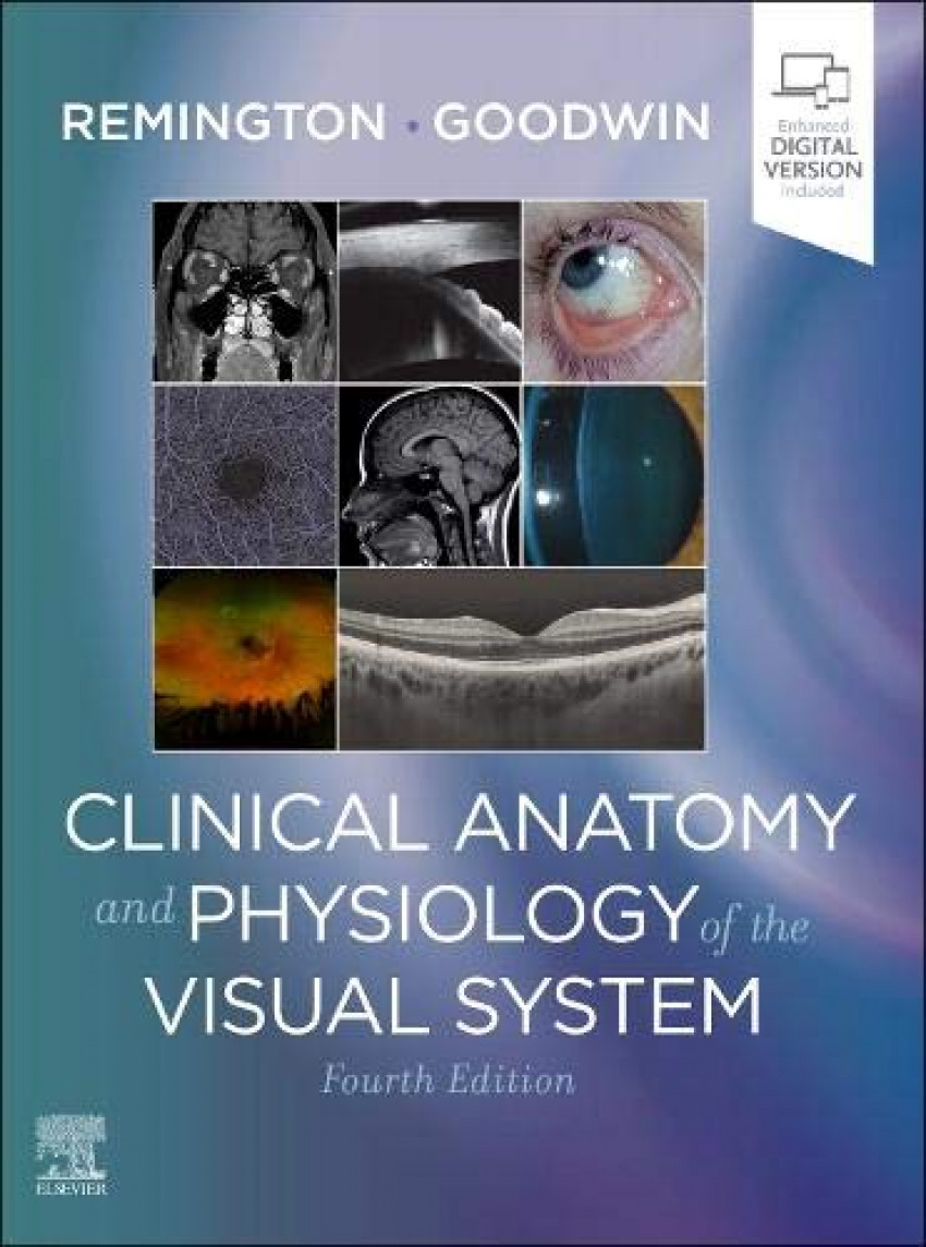  Clinical anatomy and physiology of visual system 