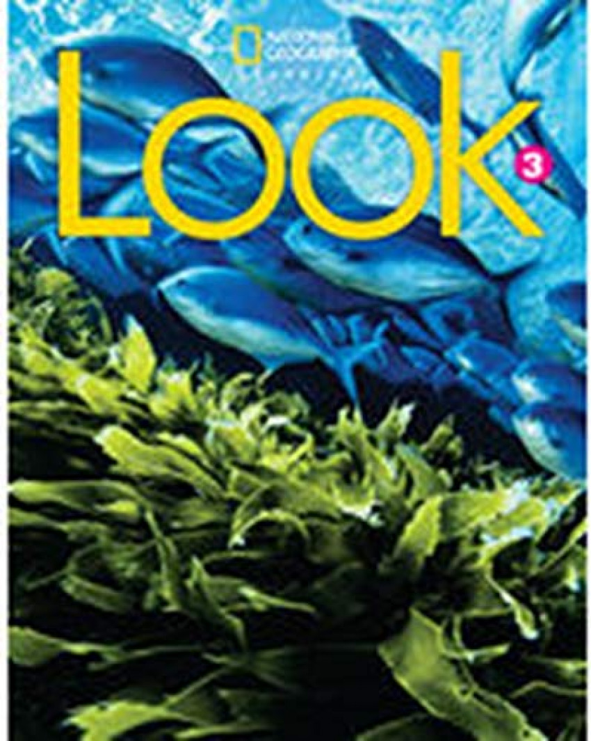  Look Level 3 BrE Workbook 