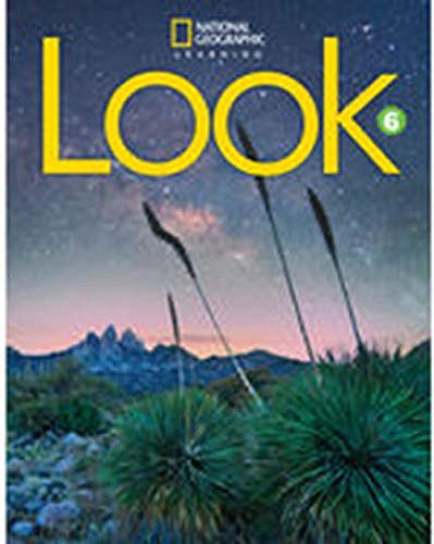  Look Level 6 BrE Workbook 