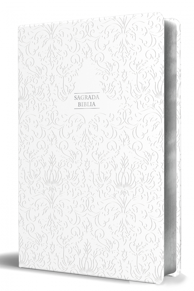  Biblia católica LT GRD HC Virgen.Tapa dura,Piel labrado 