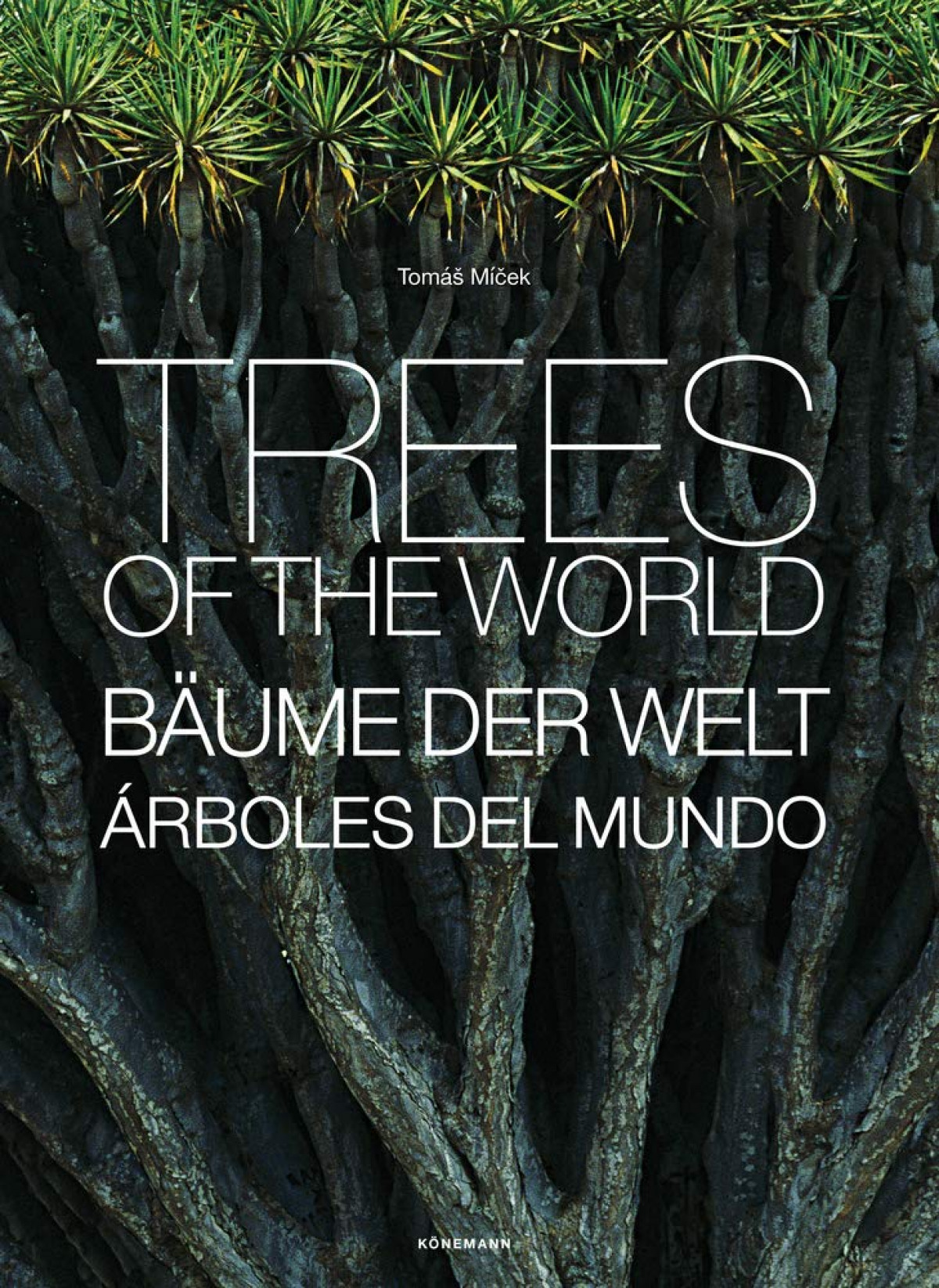 TREES
