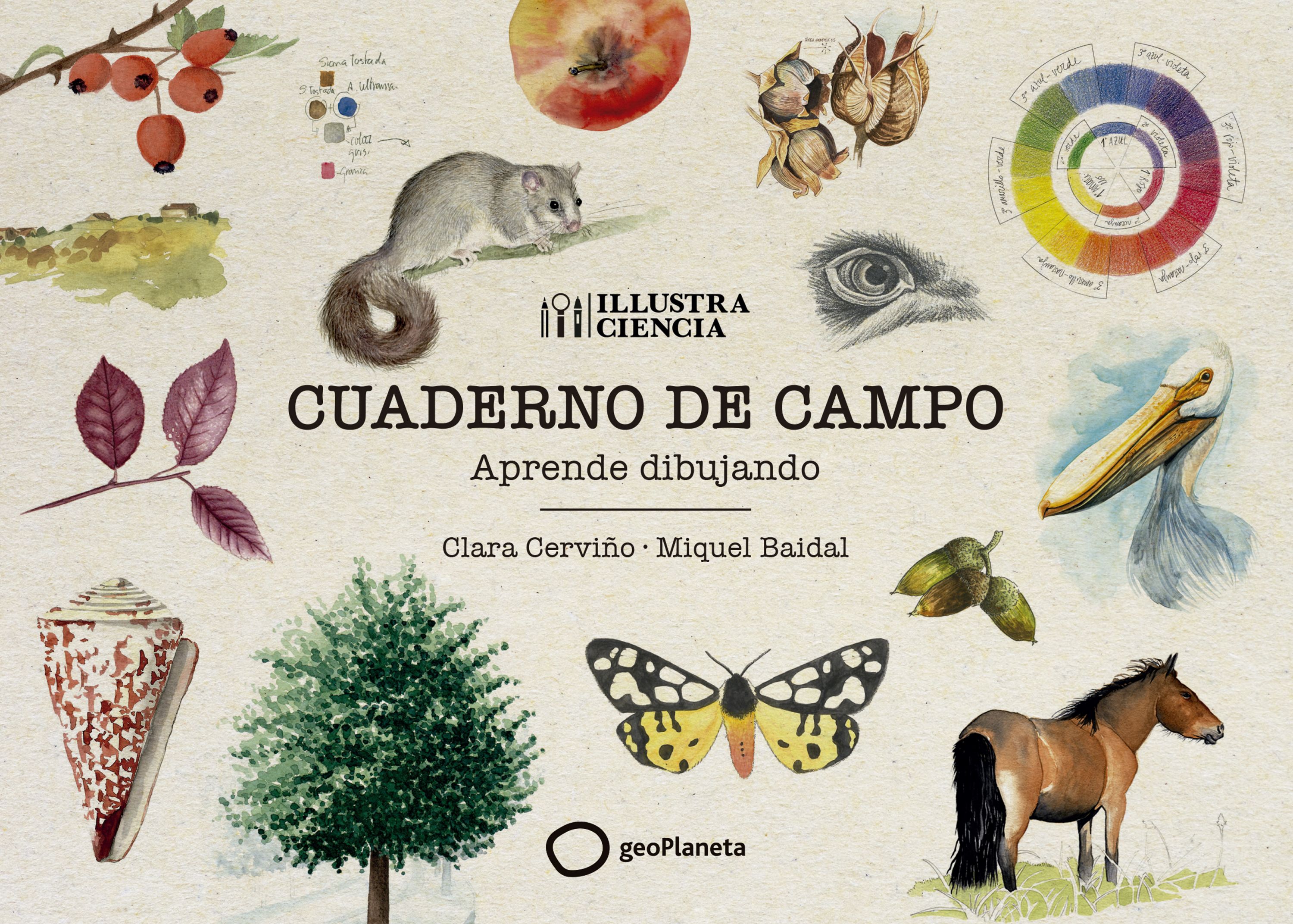  Cuaderno de campo 