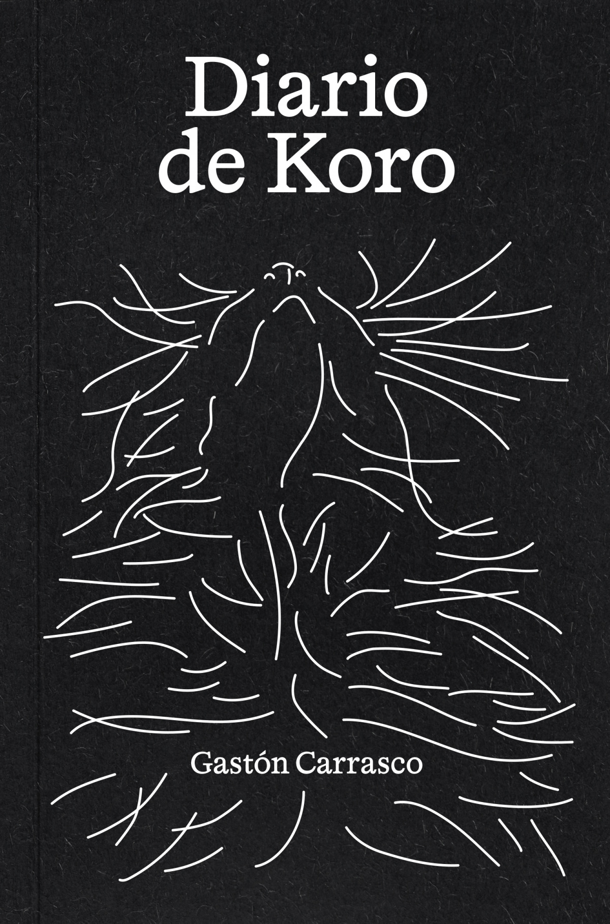 DIARIO DE KORO