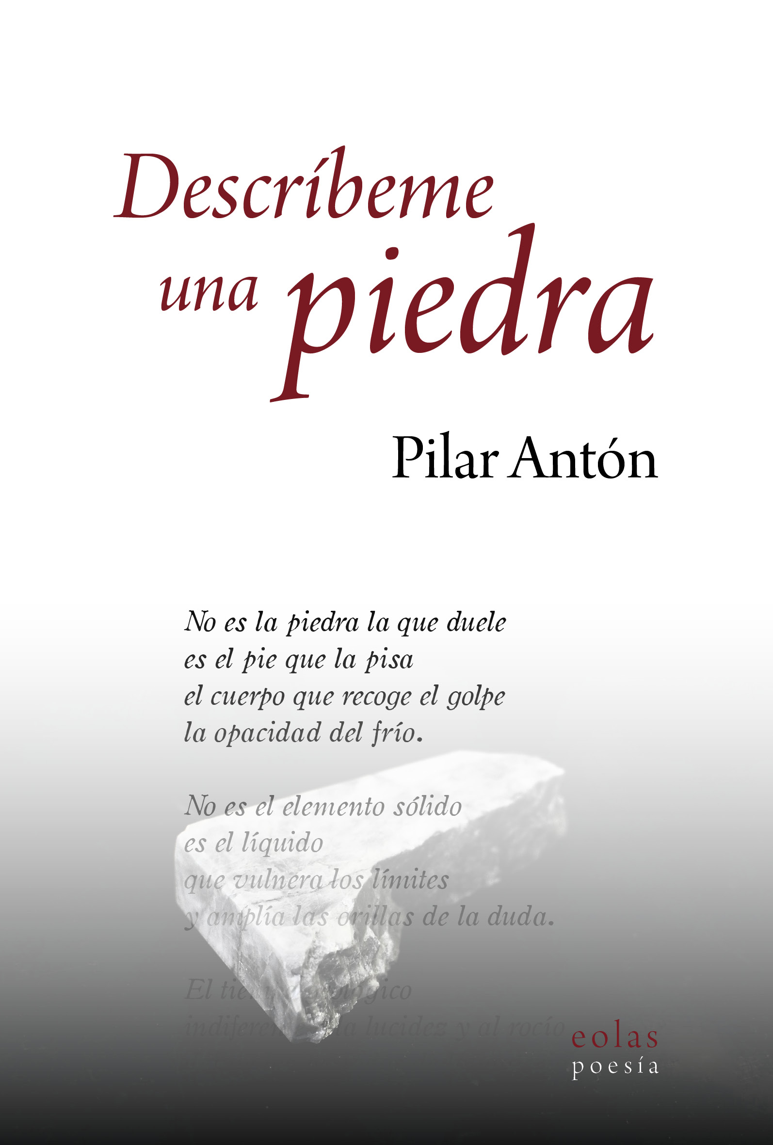  DESCRÍBEME UNA PIEDRA 