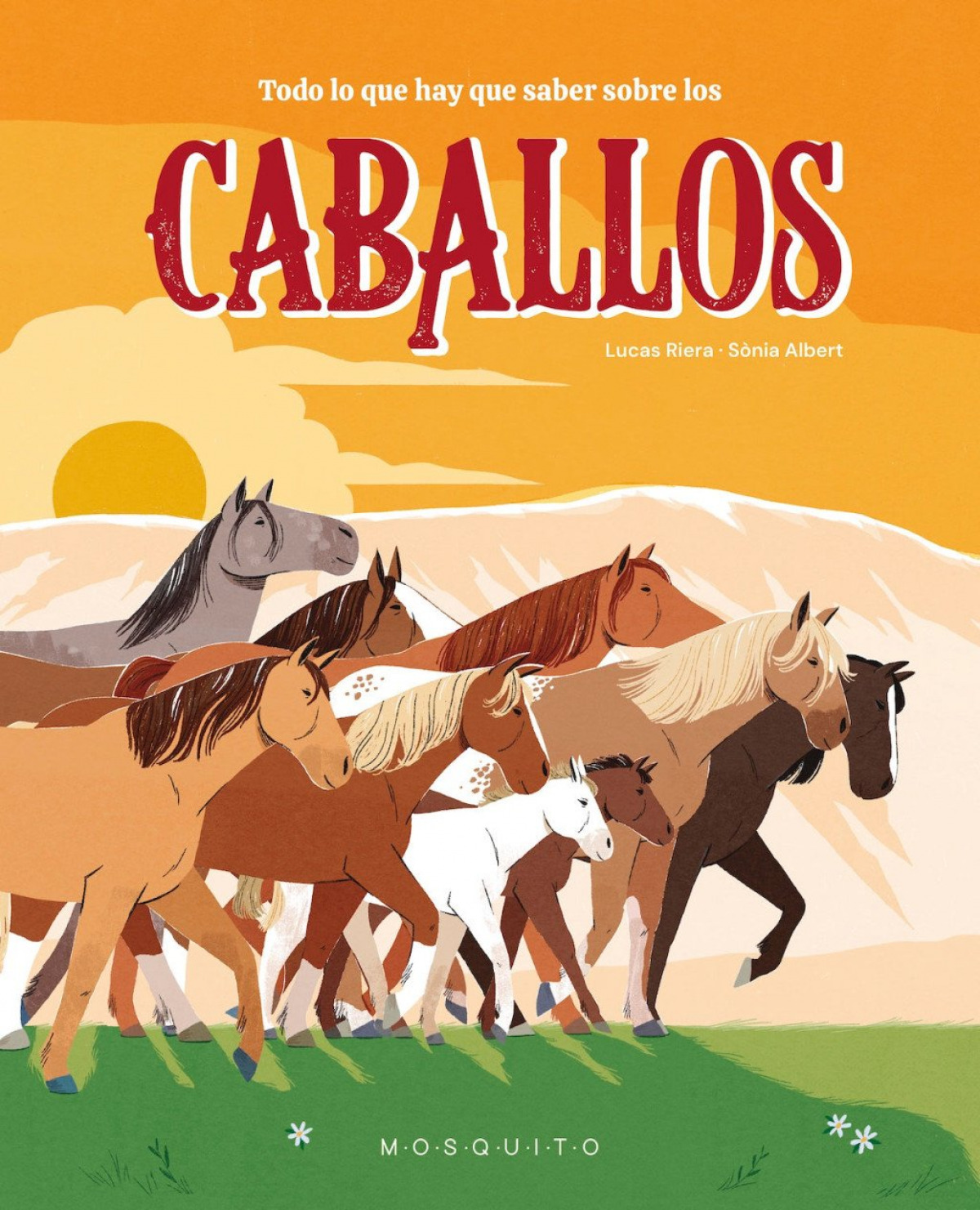  Todo lo que necesitas saber sobre los caballos 