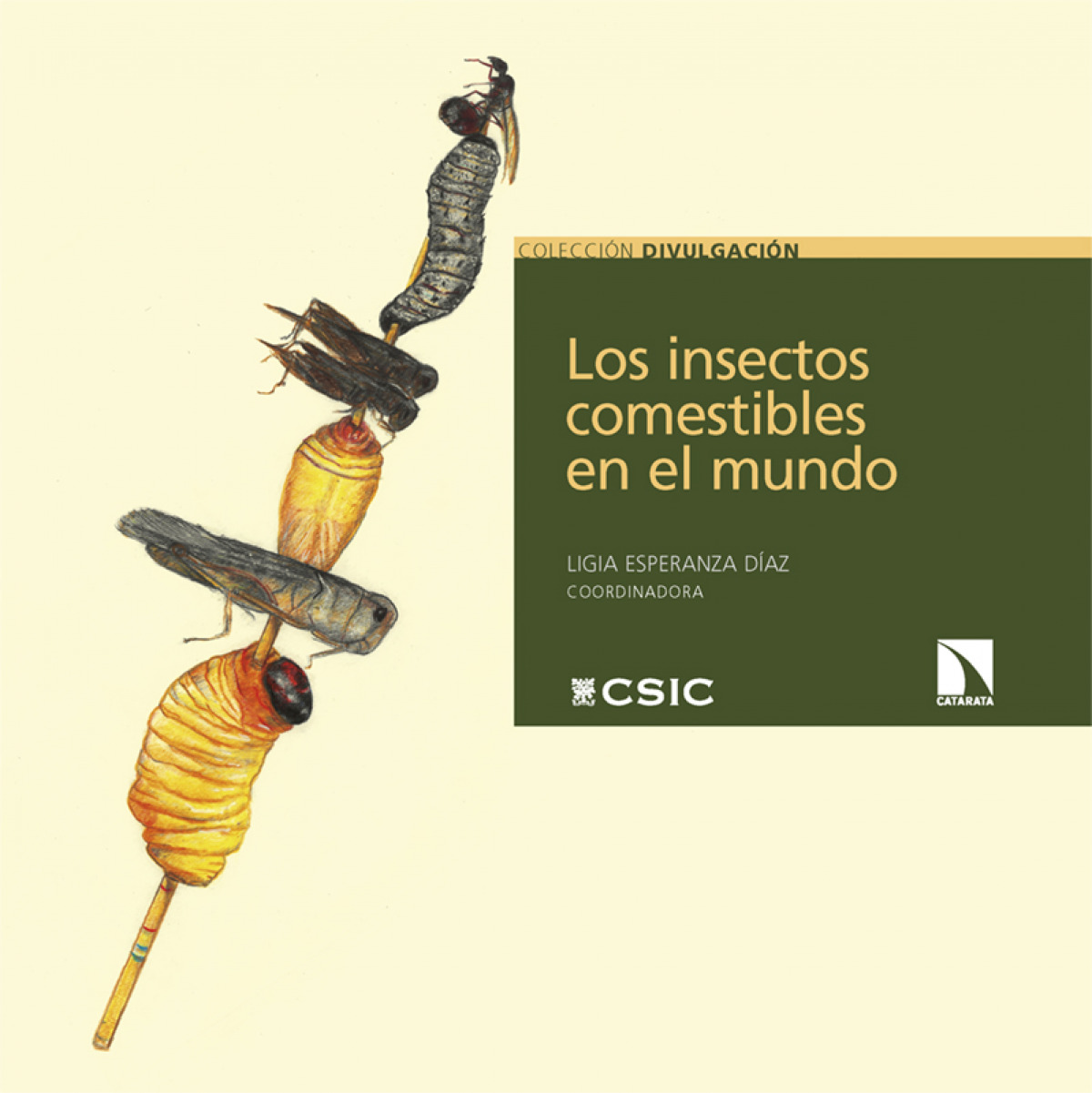  Insectos comestibles en el mundo 