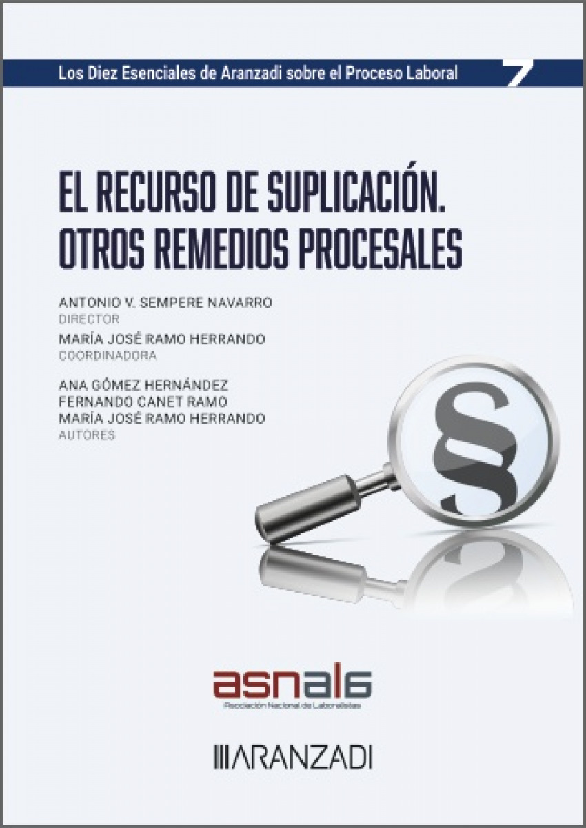 El recurso de suplicación. Otros remedios procesales