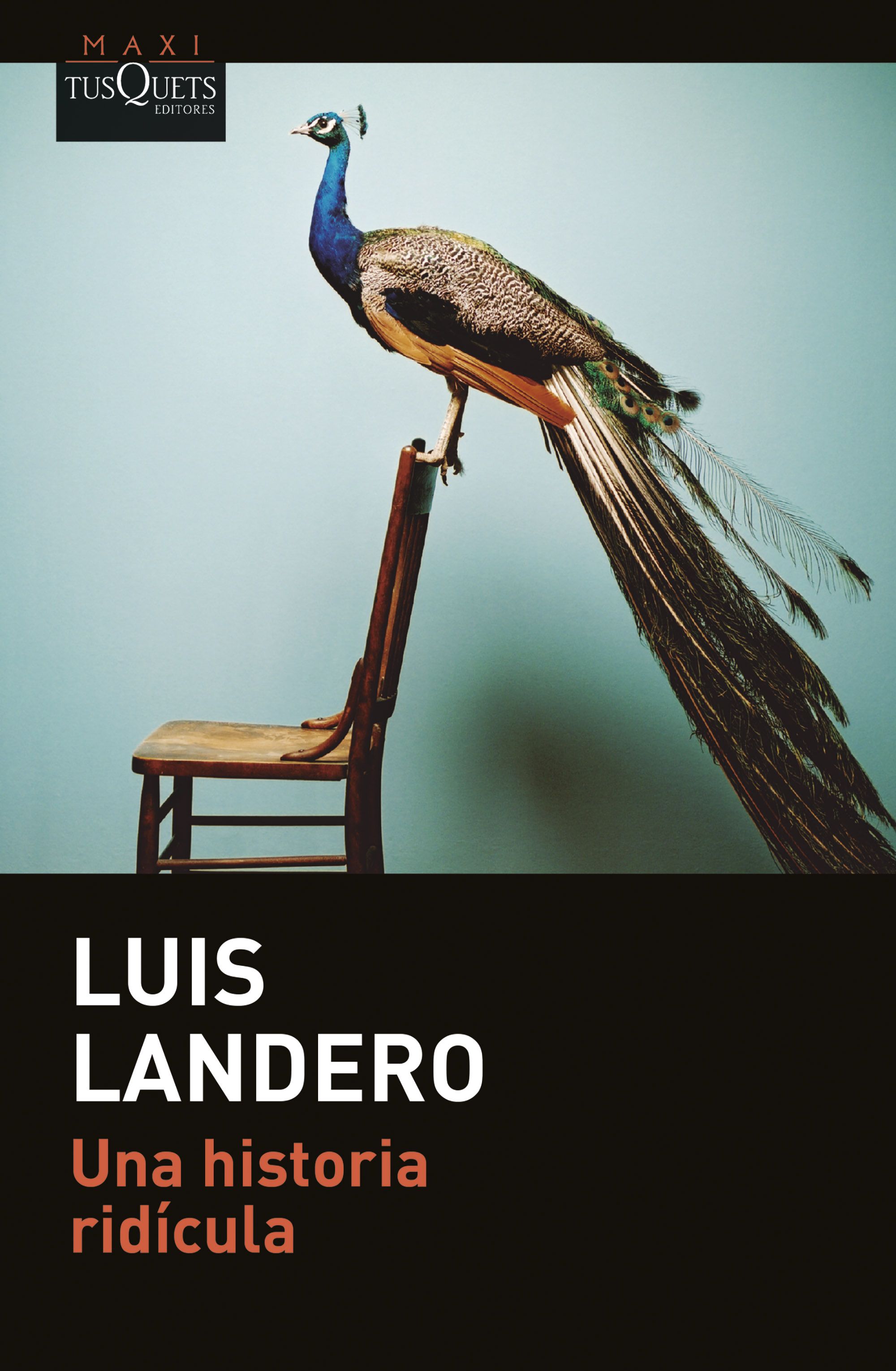  Una historia ridícula 