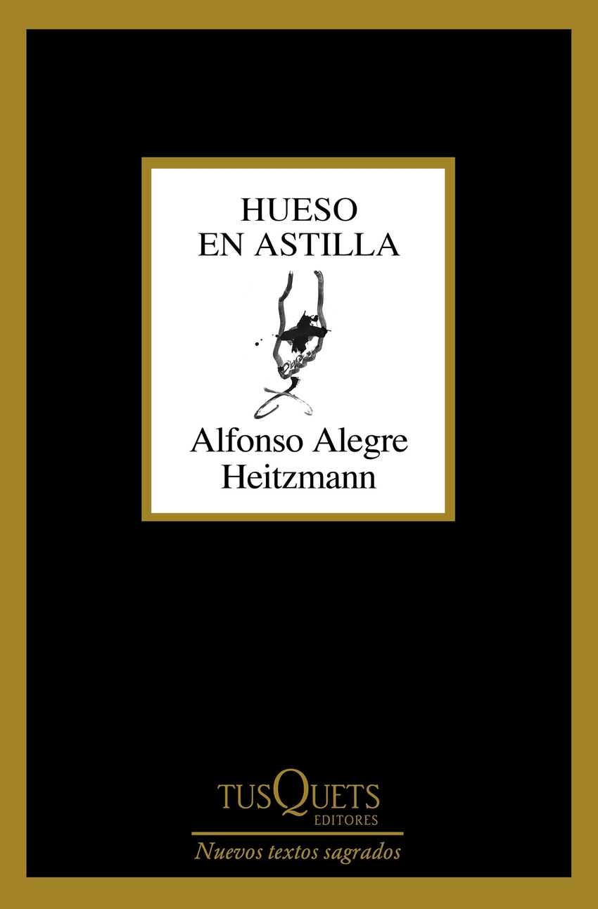 Hueso en astilla