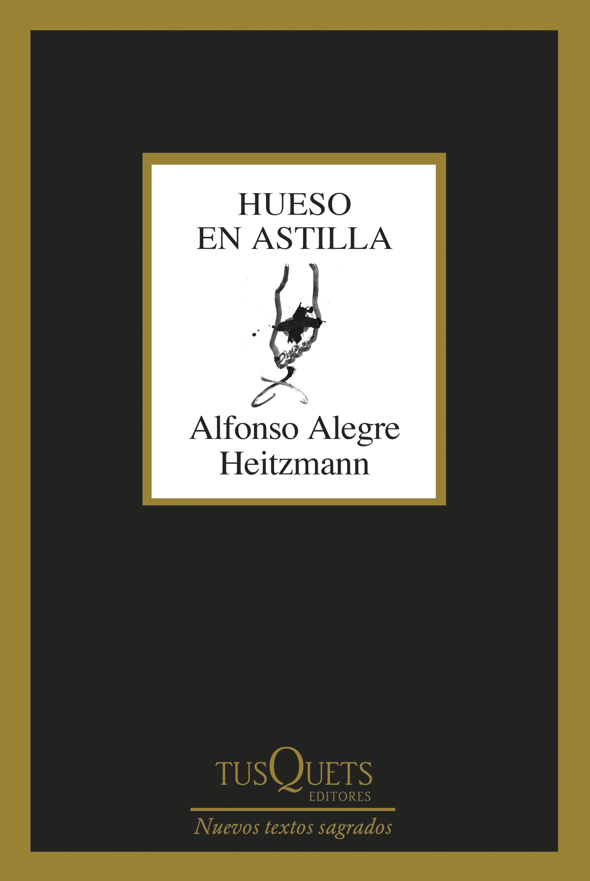  Hueso en astilla 