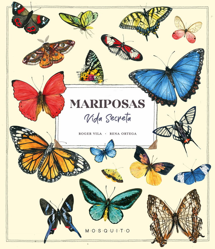  MARIPOSAS VIDA SECRETA 