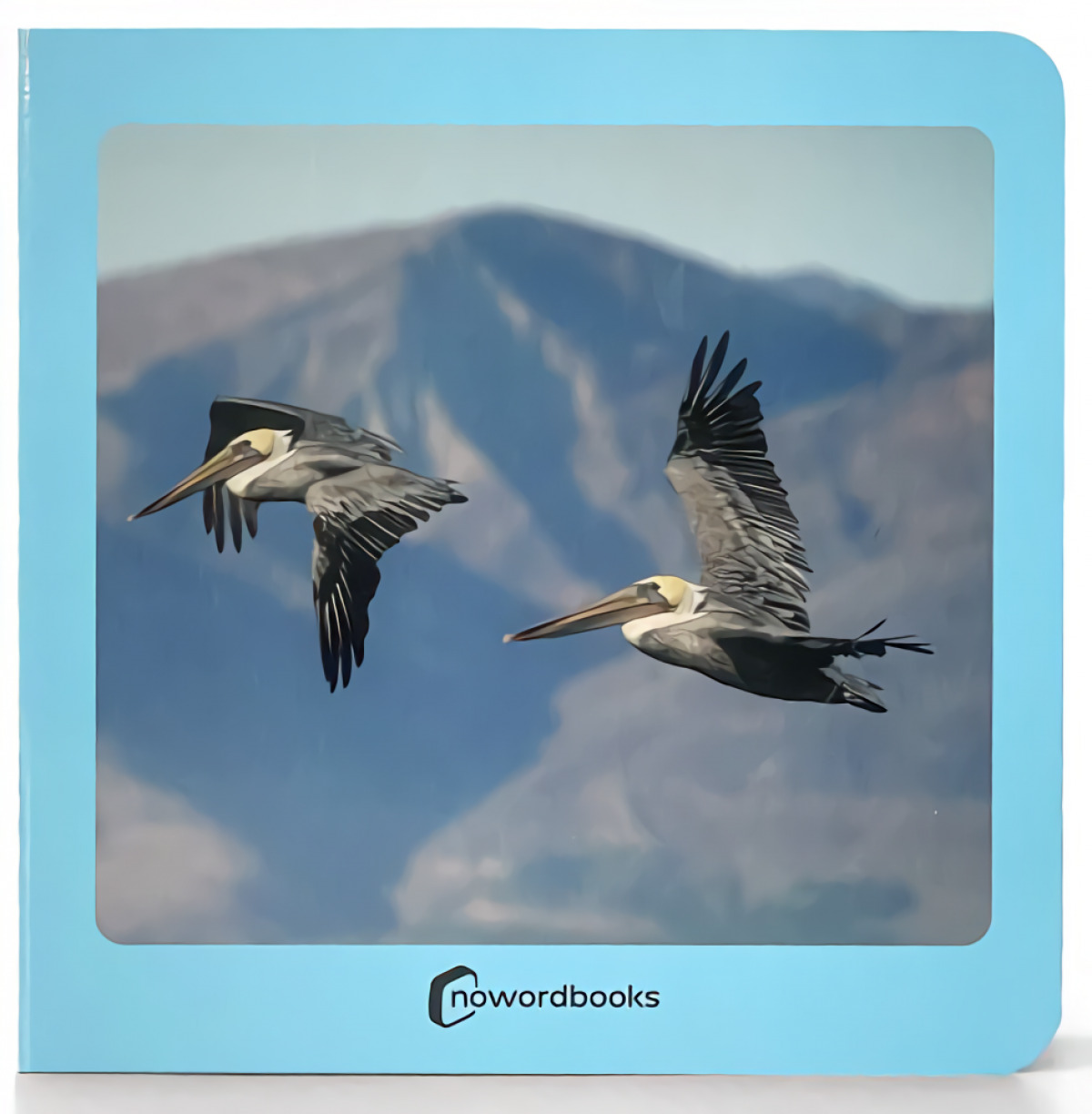 Aves