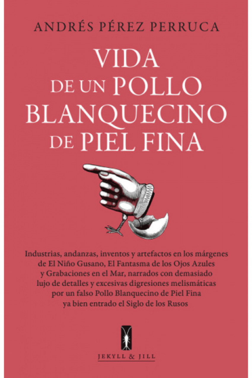 Vida de un pollo blanquecino de piel fina