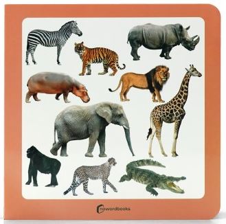 3.ANIMALES SALVAJES