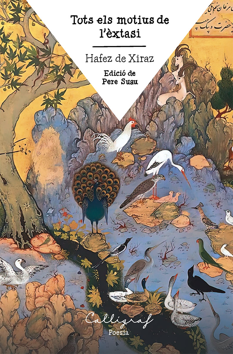  Tots els motius de l 