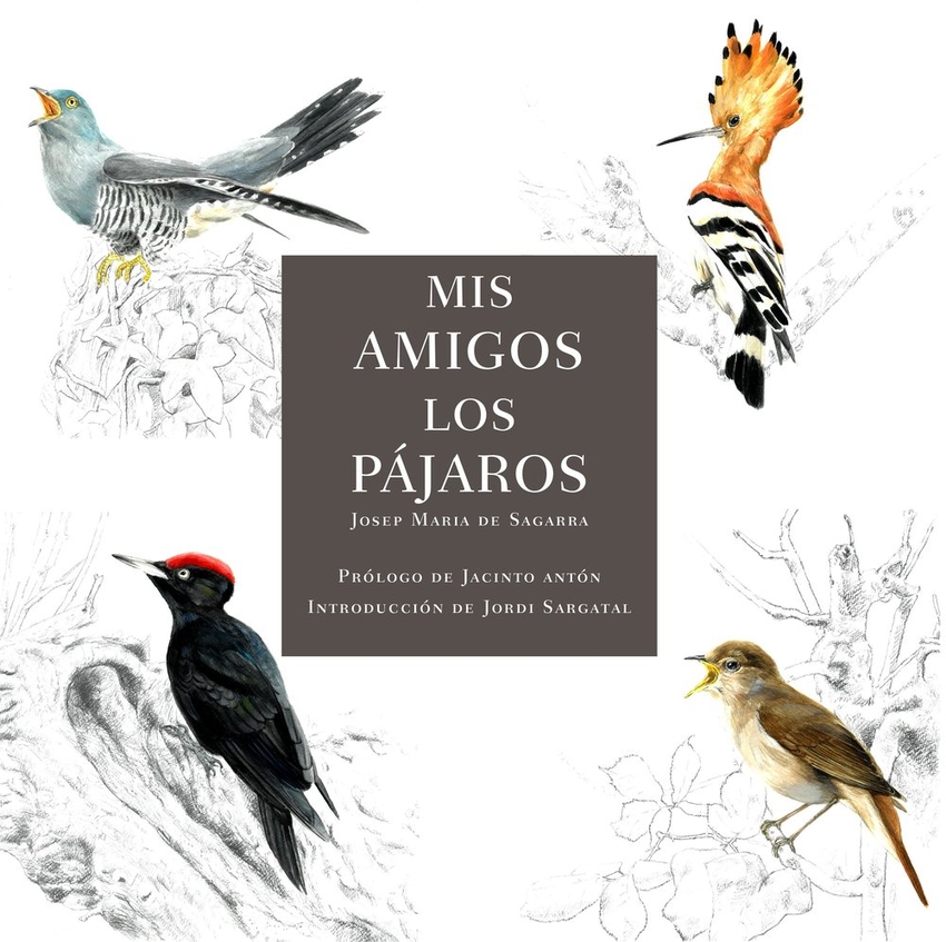  Mis amigos los pájaros 