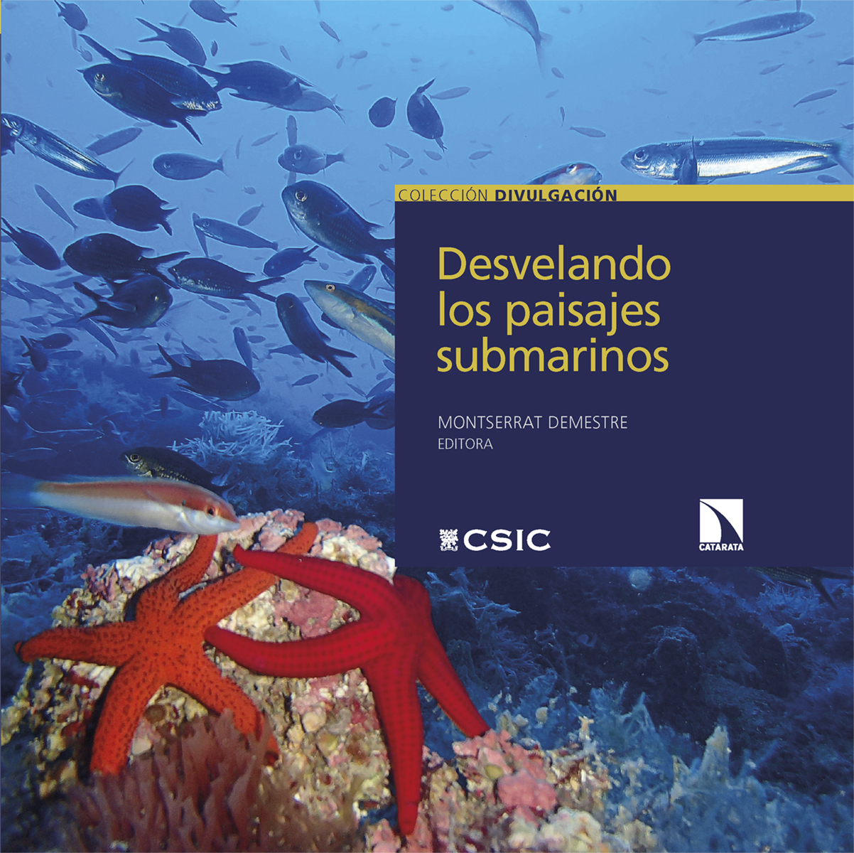  Desvelando los paisajes submarinos 