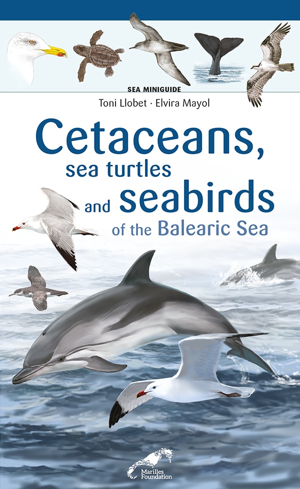  Cetaceans, sea turtles and seabirds of the Balearic Sea 