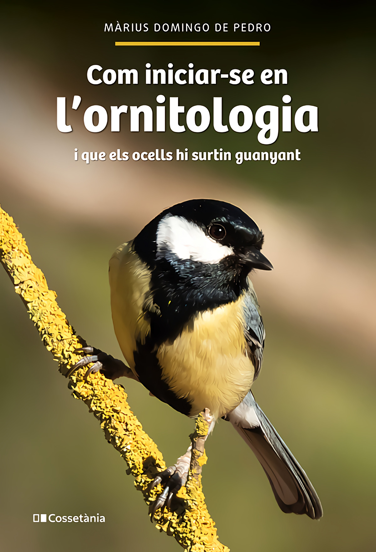 Portada