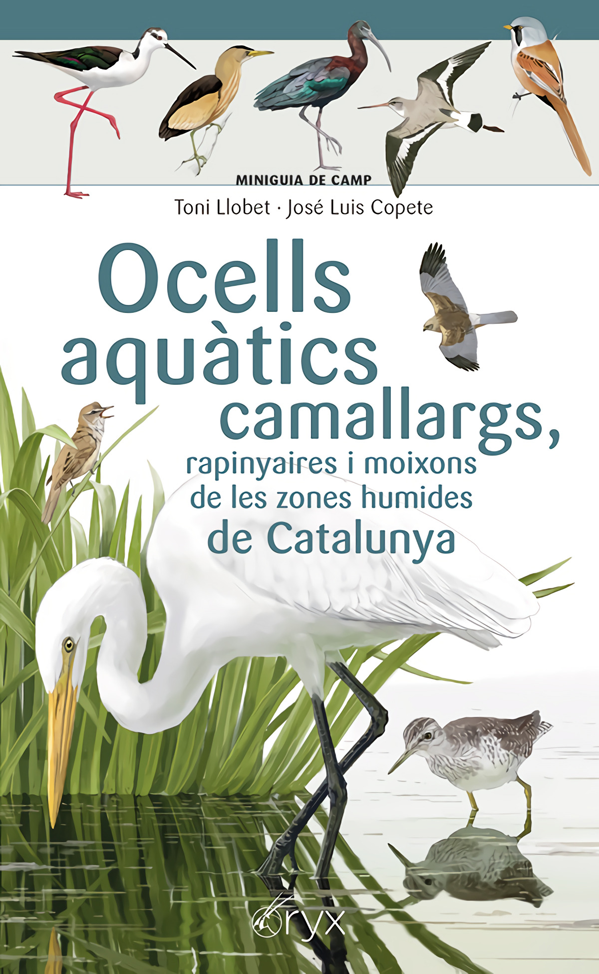 Capa