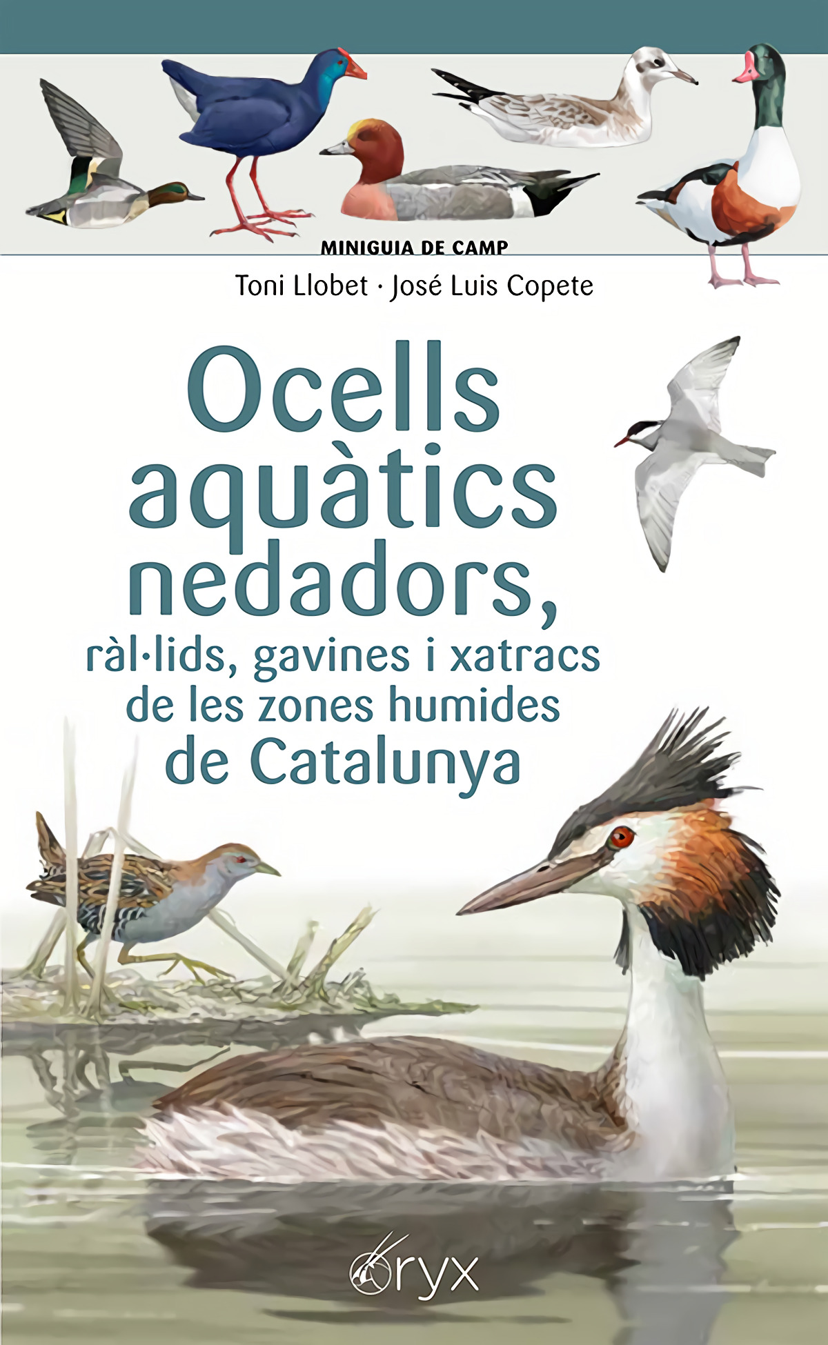 Portada