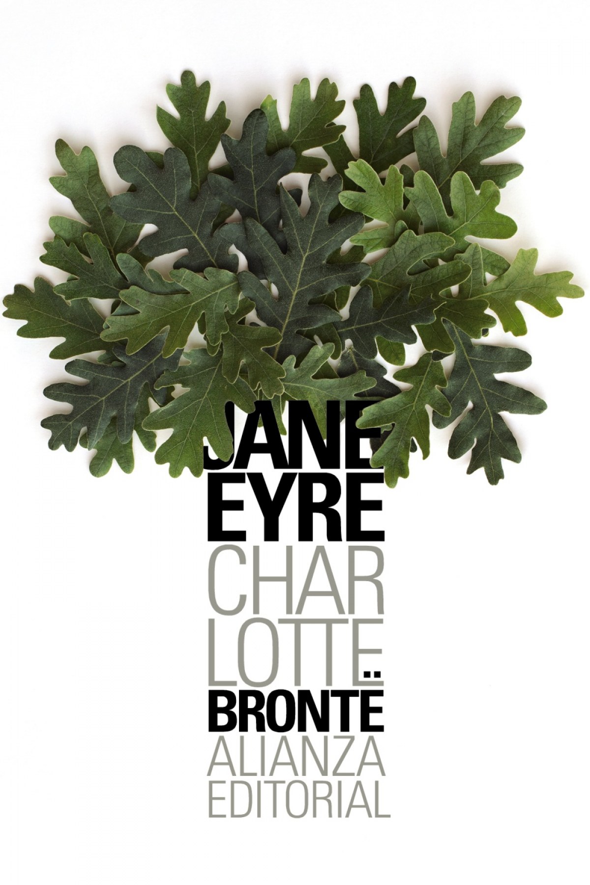  Jane Eyre 
