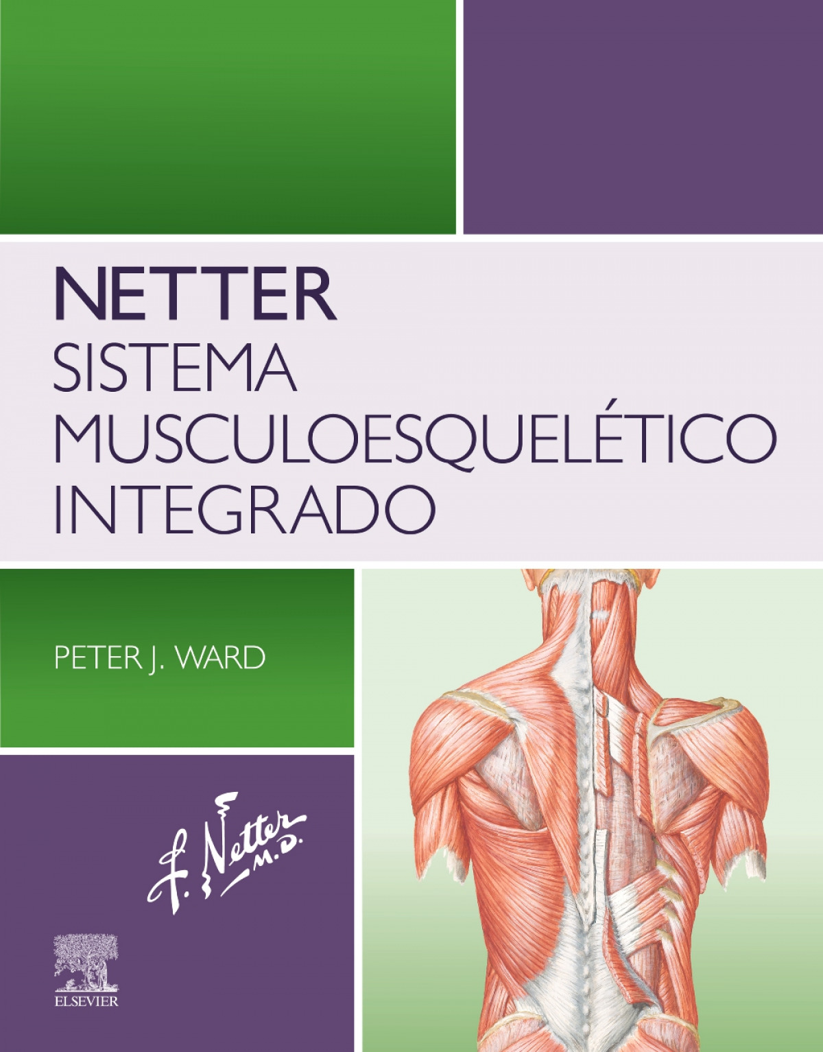 Netter sistema musculoesqueletico integrado