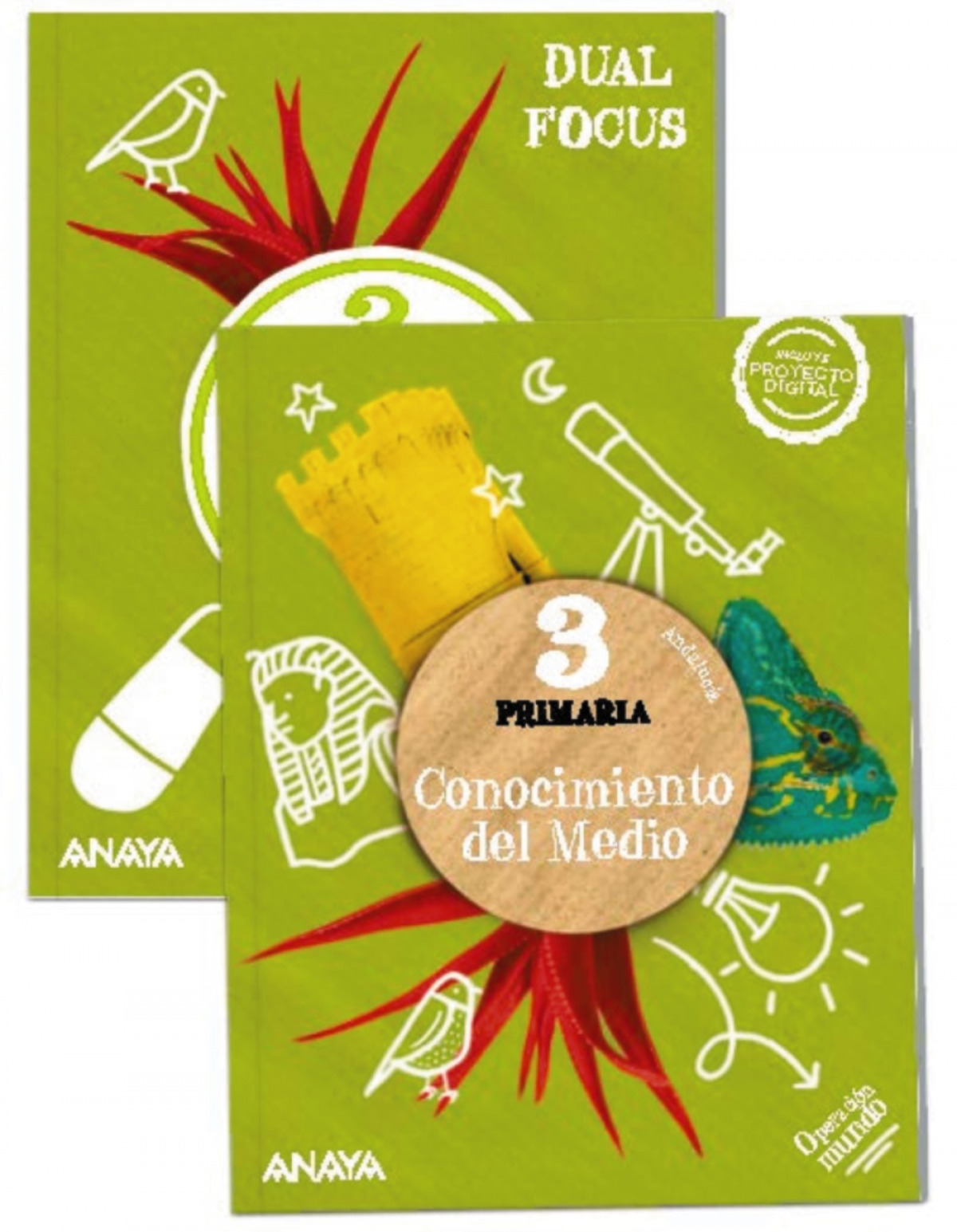 CONOCIMIENTO DEL MEDIO 3ºPRIMARIA +SCIENCE. OPERACIÓN MUNDO. ANDALUCÍA 2023