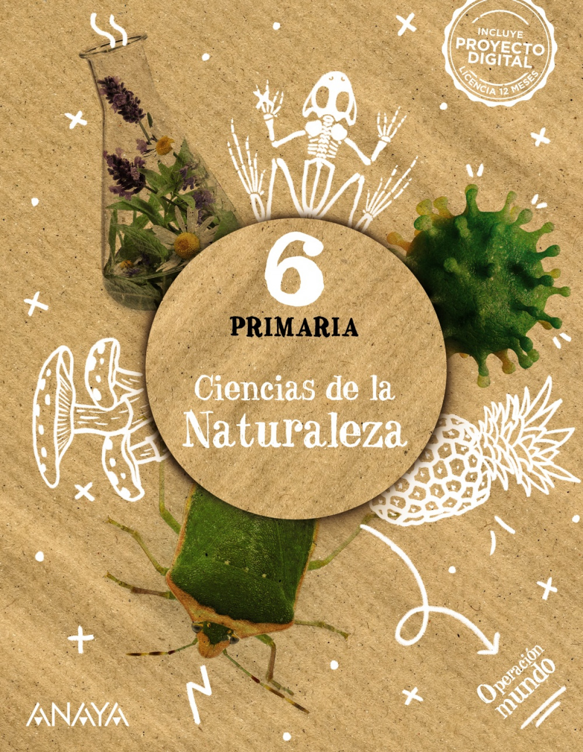  CIENCIAS NATURALEZA 6ºEP OPERACION MUNDO 23 