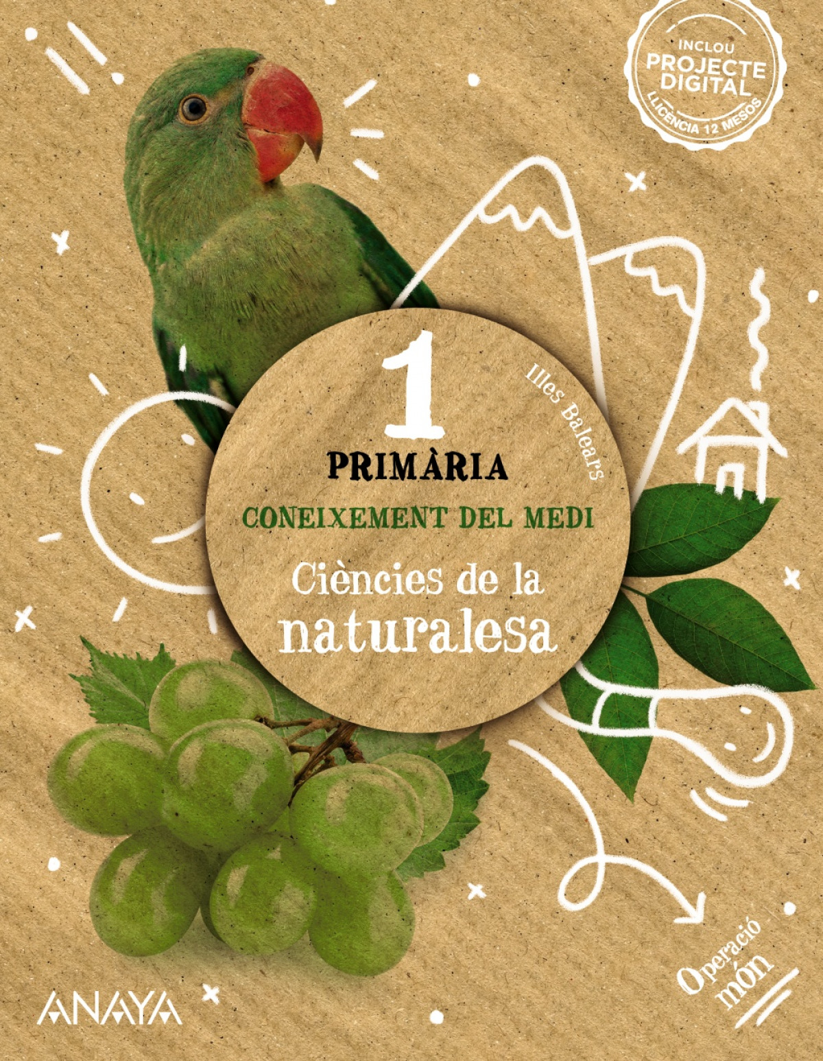  CONOCIMIENTO MEDIO NAT 1PR BA;CA OP MON 
