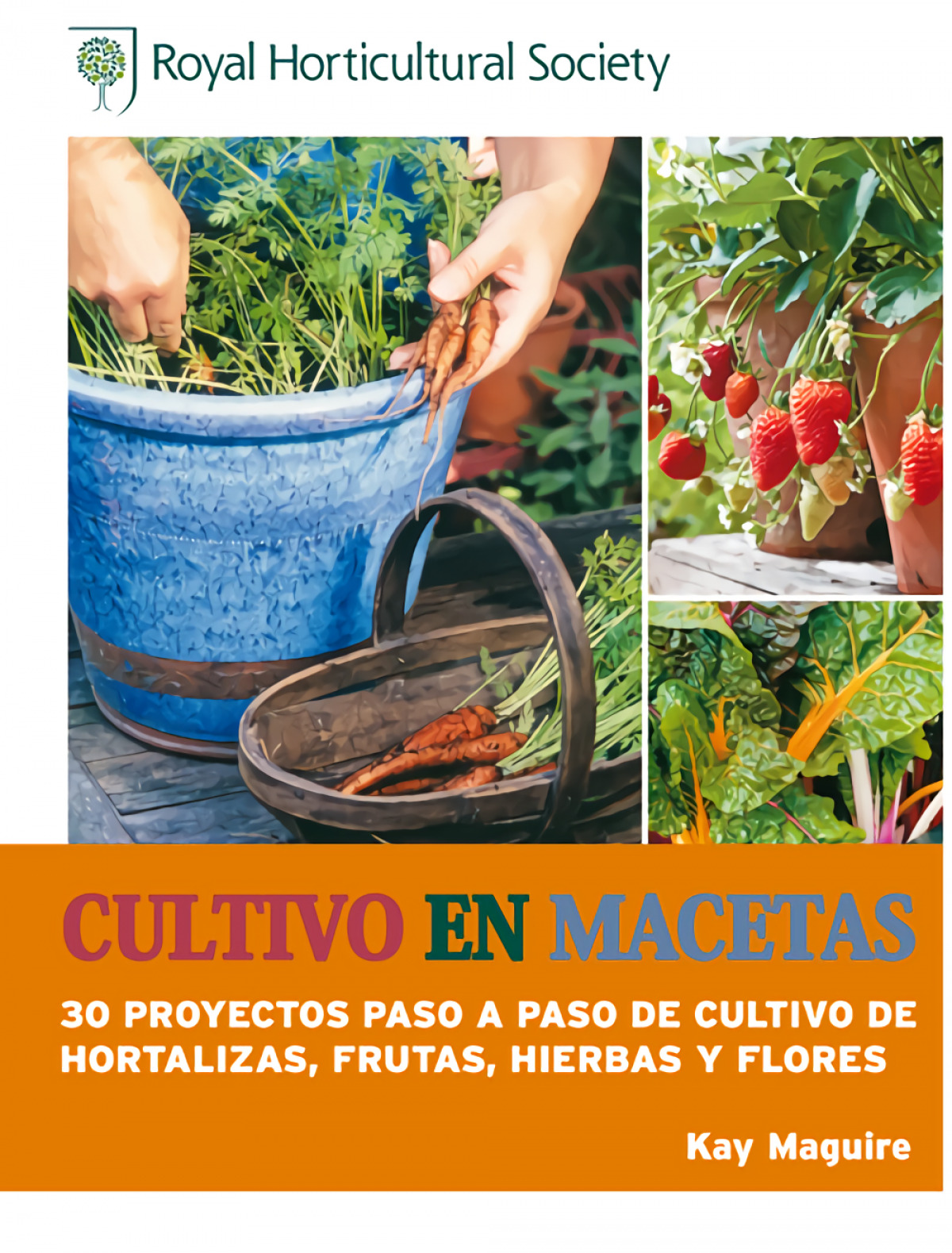 Cultivo en macetas 