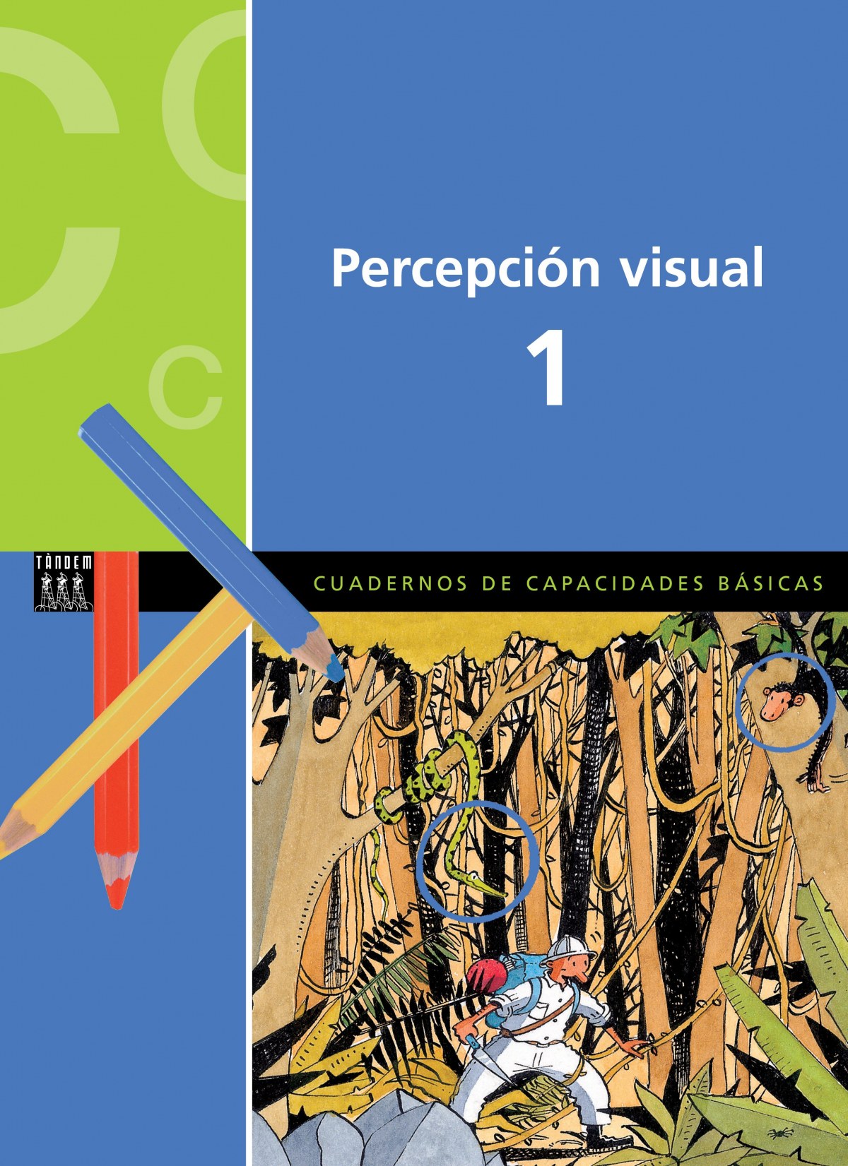 Percepcion visual 1.capacdades basicas primaria