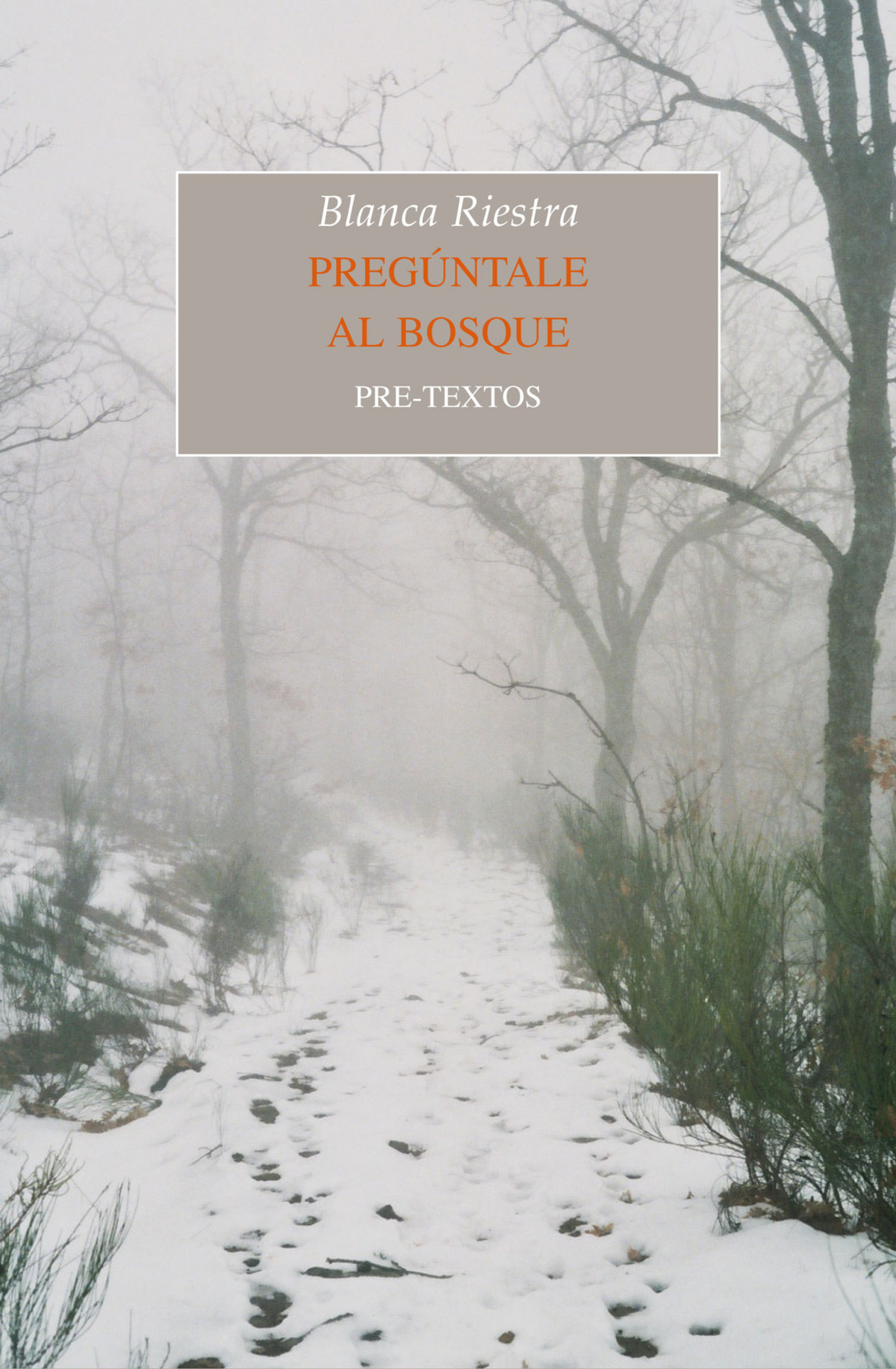  Pregúntale al bosque 