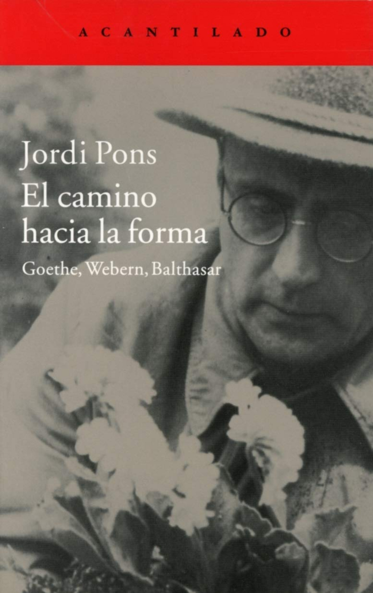  El camino hacia la forma 