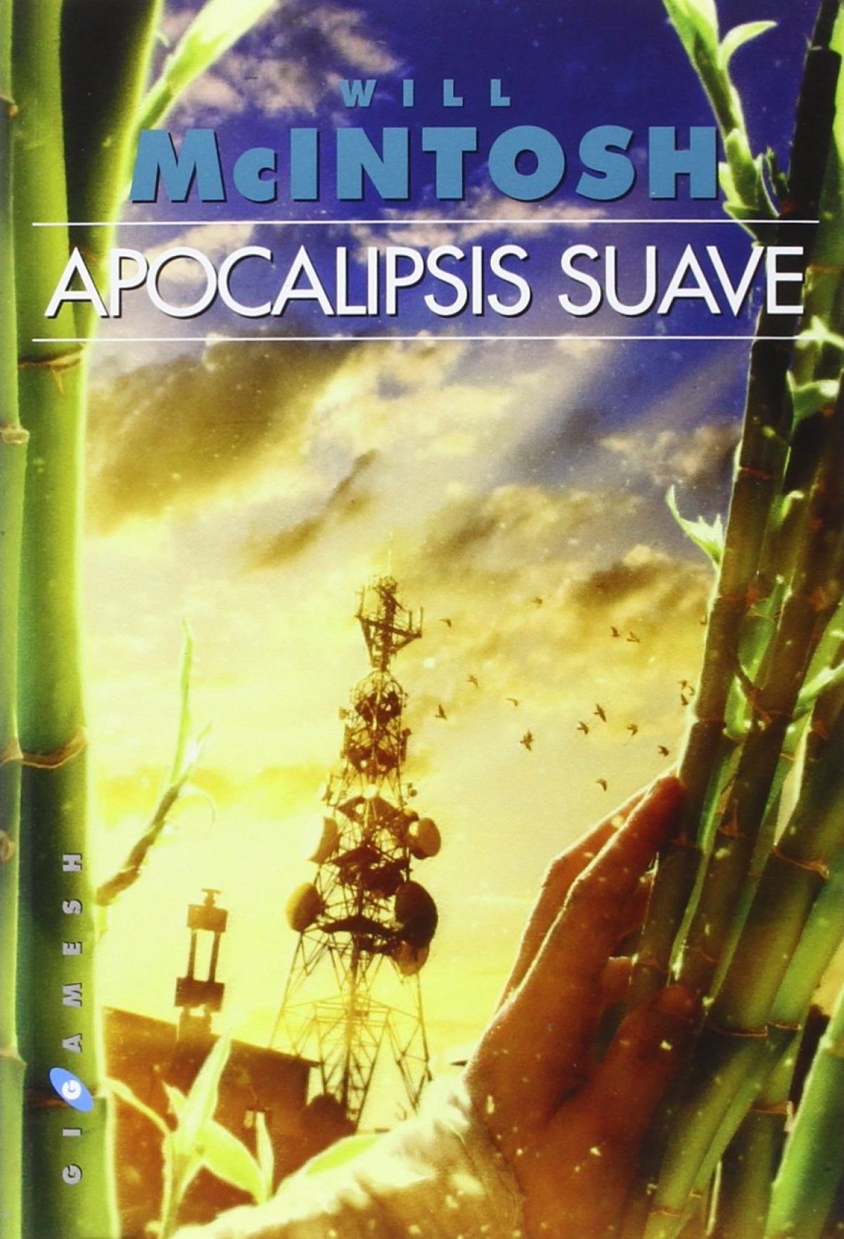 Portada
