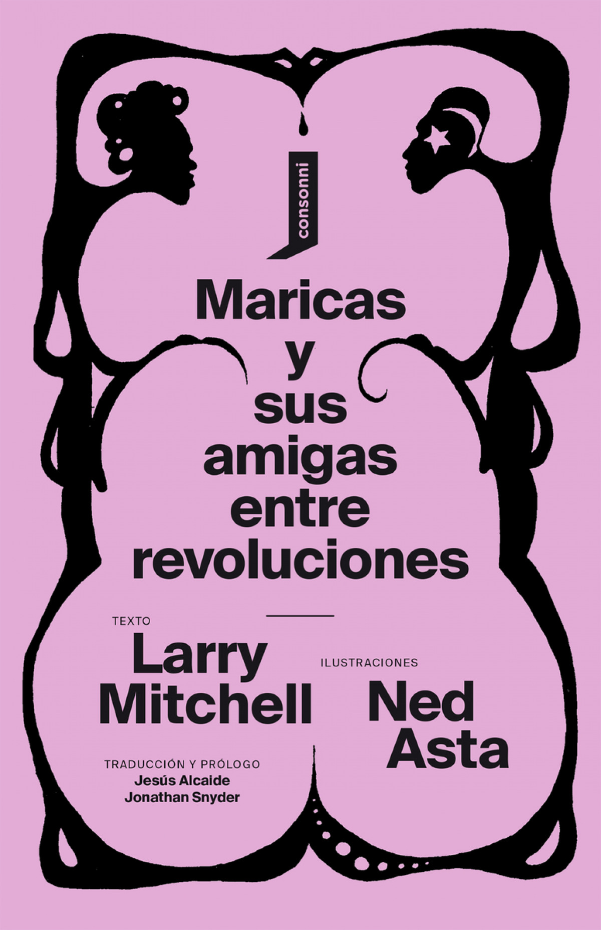  Maricas y sus amigas entre revoluciones 