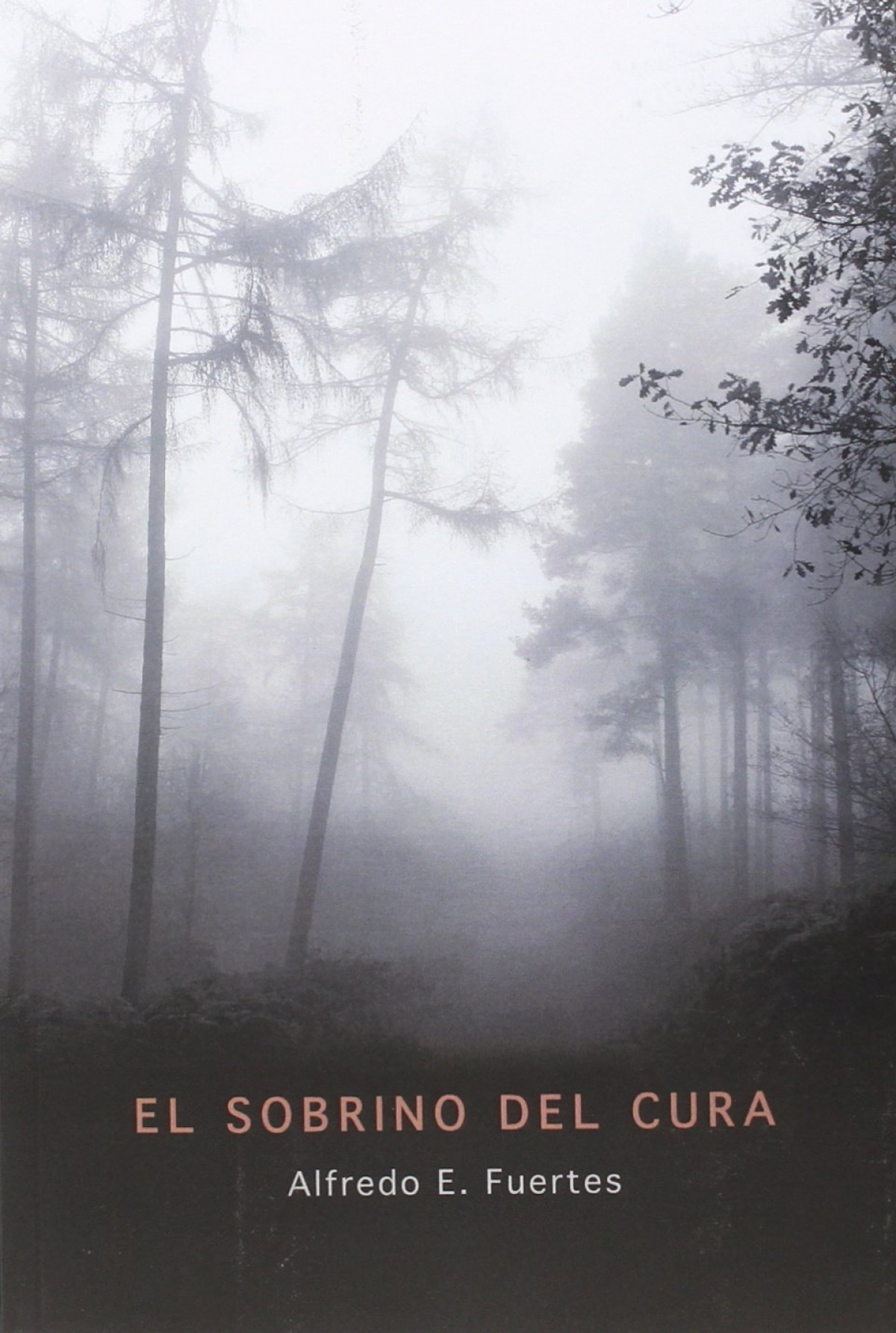 El sobrino del cura