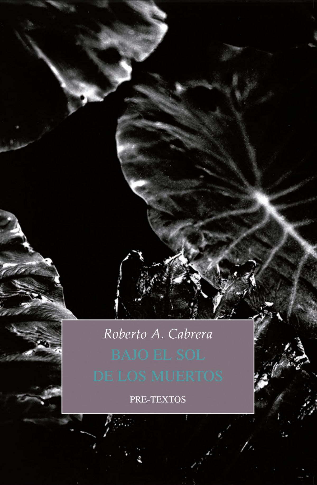  Bajo el sol de los muertos 