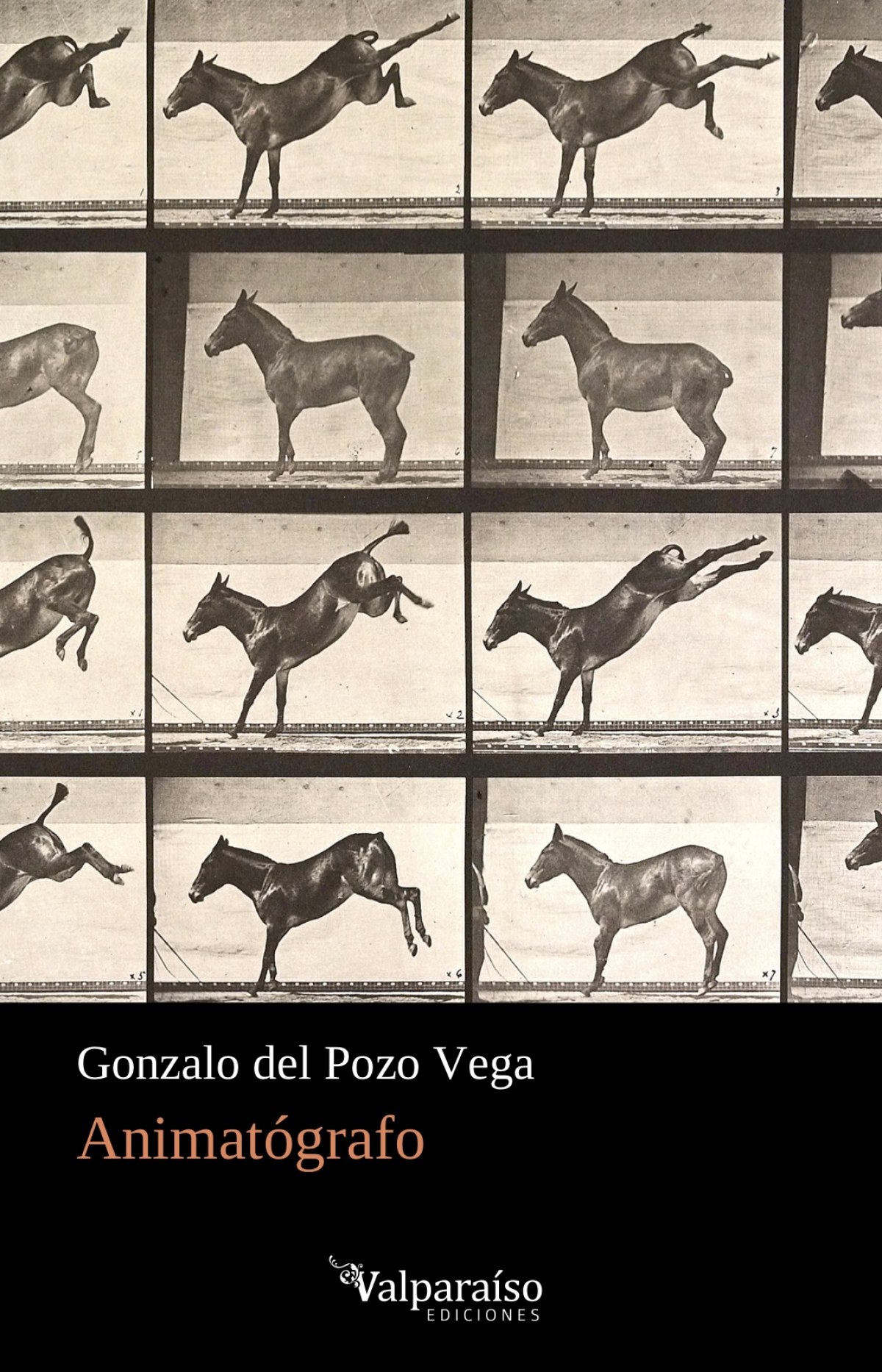 Portada