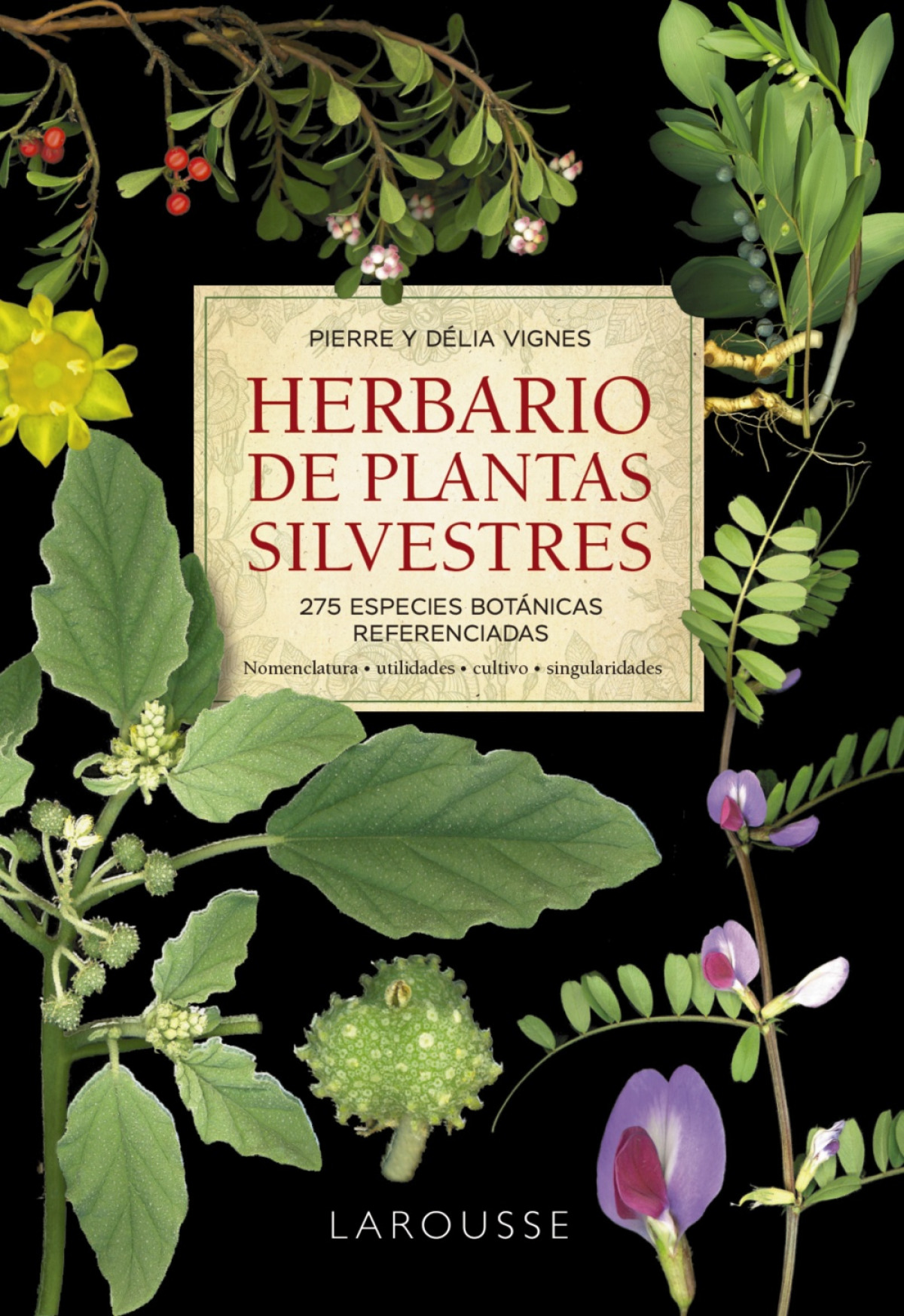 Portada