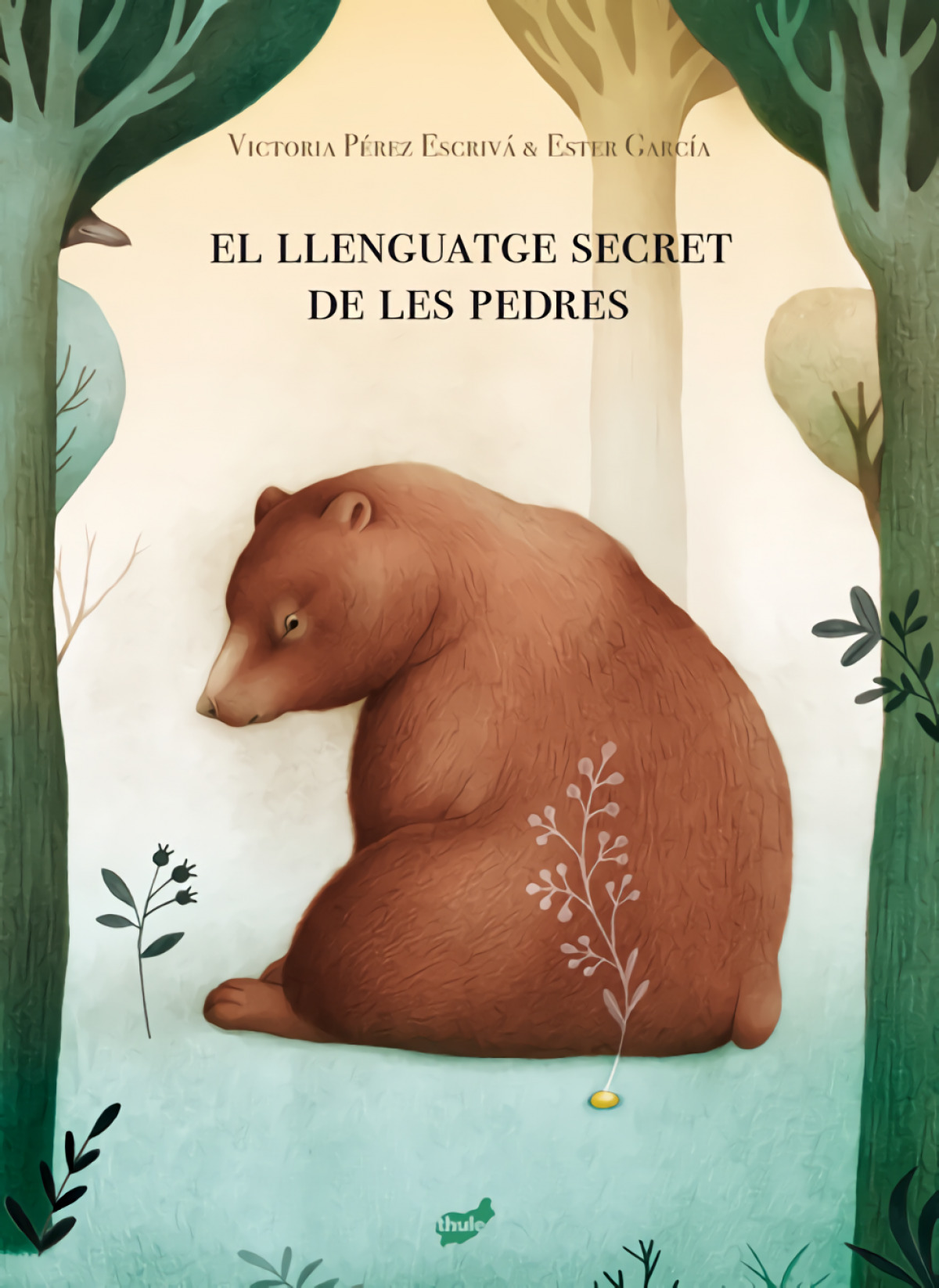  El llenguatge secret de les pedres 