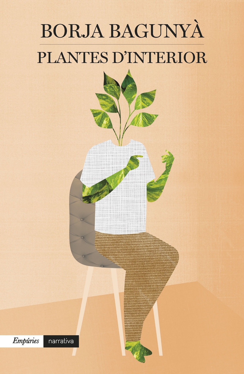  Plantes d'interior 
