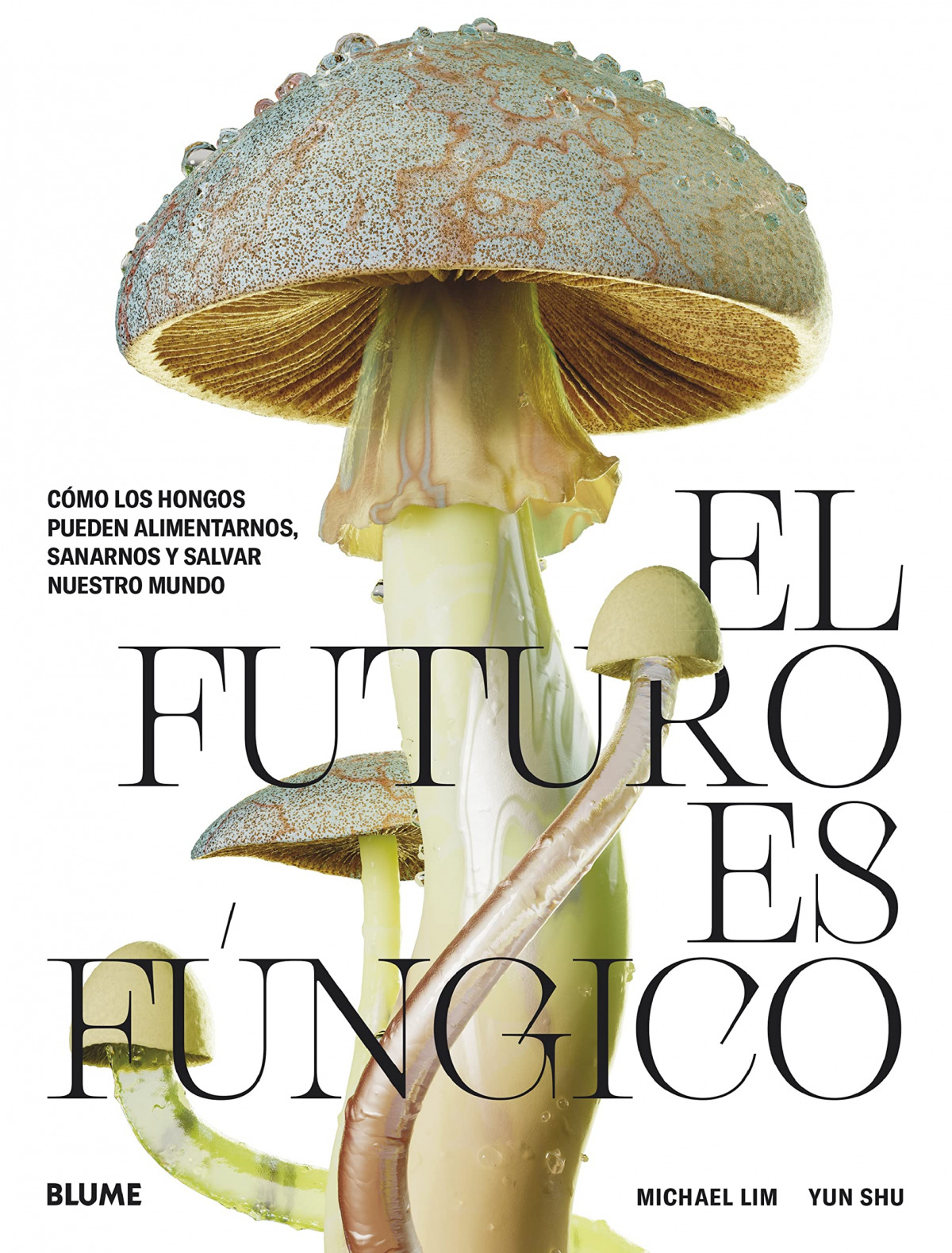  El futuro es fúngico 